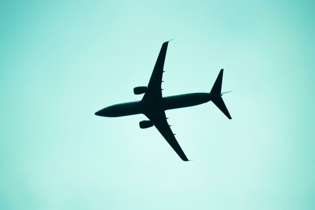 Airline Marketing with NanoInflu